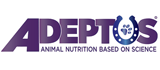 Adeptus