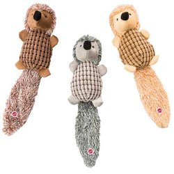 spot-long-tail-hedgehogs-142724