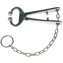 agri-pro-bull-lead-with-chain-444249