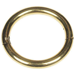 agri-pro-bull-ring-444229