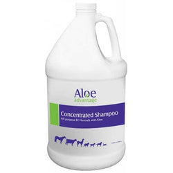 aloe-advantage-concentrated-shampoo-113193