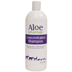 aloe-advantage-concentrated-shampoo-133475
