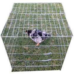 animal-supplies-square-chicken-cage-111665