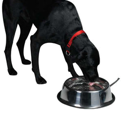 api-5-quart-stainless-steel-heated-pet-bowl-432014