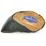 barkworthies-protein-packed-beef-bootie-peanut-butter-blend-dog-treat-153771