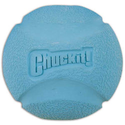 chuckit-fetch-ball-118799