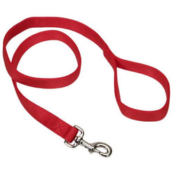 coastal-double-ply-1-by-4-dog-leash-57018001