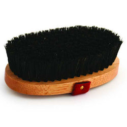 desert-equestrian-legends-charlotte-brush-454089