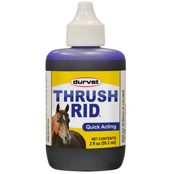 durvet-thrush-rid-124083