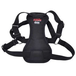 easy-rider-adjustable-dog-car-harness-100113