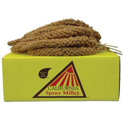 golden-farm-premium-spray-millet-402001