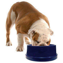 k-h-coolin-bowl-139933