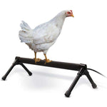 k-h-thermo-chicken-perch-145430
