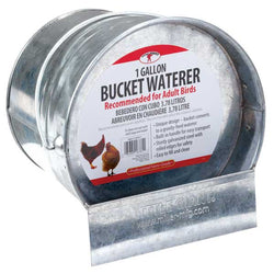 little-giant-galvanized-bucket-waterer-127221