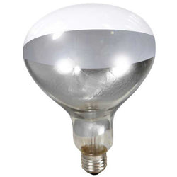 little-giant-white-heat-lamp-bulb-119708