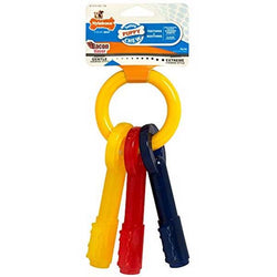 nylabone-puppy-teething-keys-642052