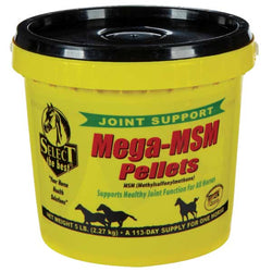 select-the-best-mega-msm-722155