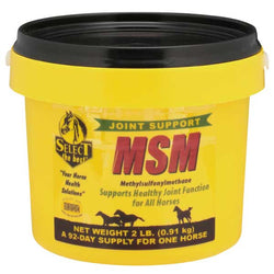 select-the-best-msm-722112