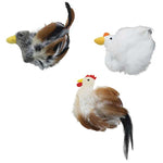spot-birds-of-a-feather-121545
