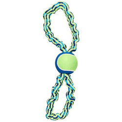 spot-colorful-rope-bungee-156935