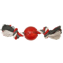 spot-play-strong-ball-with-rope-140752