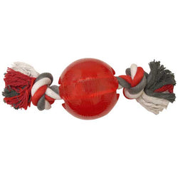 spot-play-strong-ball-with-rope-140754