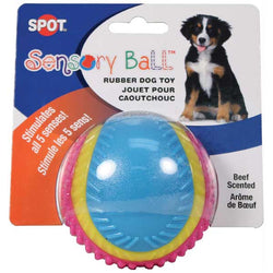 spot-sensory-ball-138325