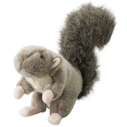 spot-woodland-connection-squirrel-125273