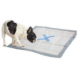 spot-x-marks-the-spot-puppy-pads-144801