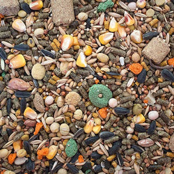 sunseed-vita-rat-mouse-diet-827426