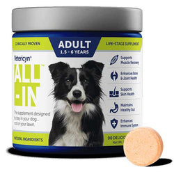 vetericyn-all-in-life-stage-supplement-for-adult-dogs-157172