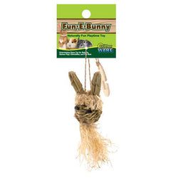 ware-fun-e-bunny-121919