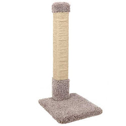 ware-kitty-cactus-sisal-609089